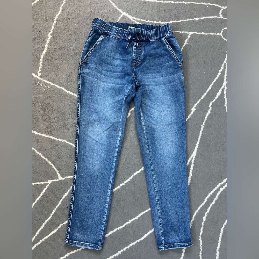 Hudson Denim Jogger Pants
